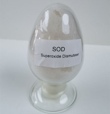 Assay 50000iu/g খাদ্য উৎপাদন লাইসেন্স SOD Superoxide Dismutase পাউডার