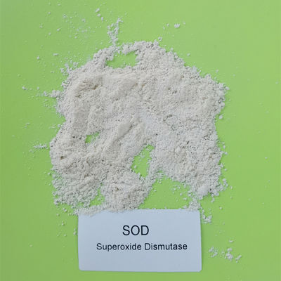 Assay 50000iu/g খাদ্য উৎপাদন লাইসেন্স SOD Superoxide Dismutase পাউডার